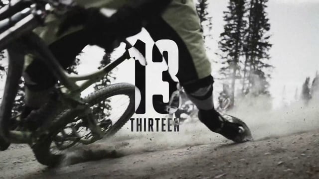 Damage Inc. - Thirteen