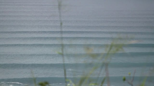 Lines from Guy Mac