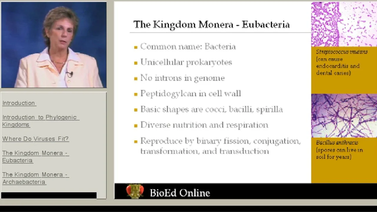 Introduction to the Organisms