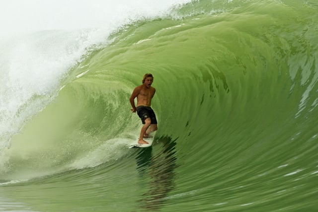 CUT N RUN from youngwisetails