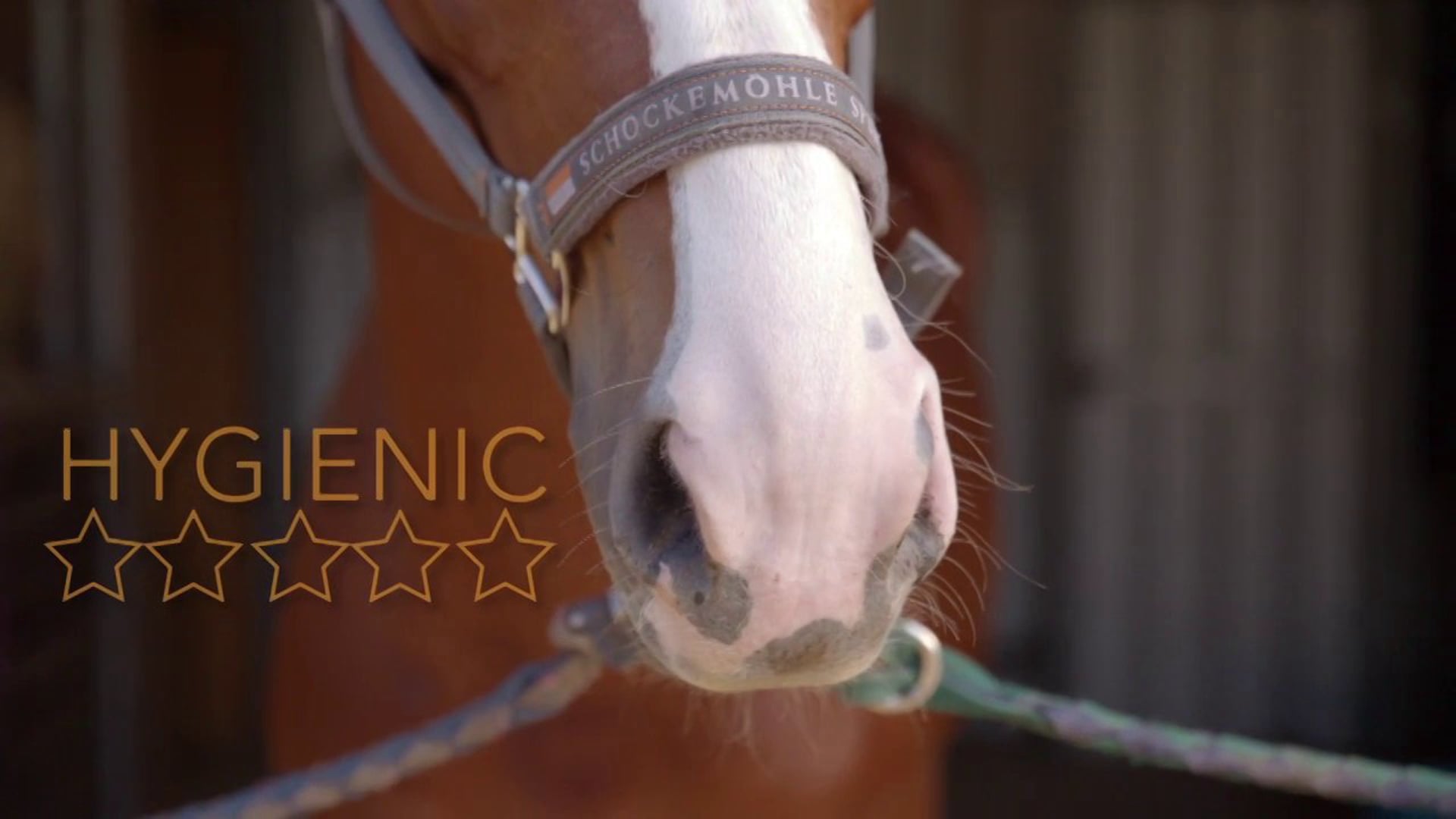 Proteq Equine Bedding