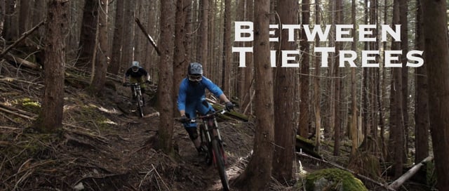 Between the Trees from Savage Films