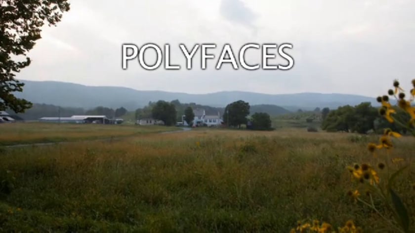 vimeo-video-thumbnail