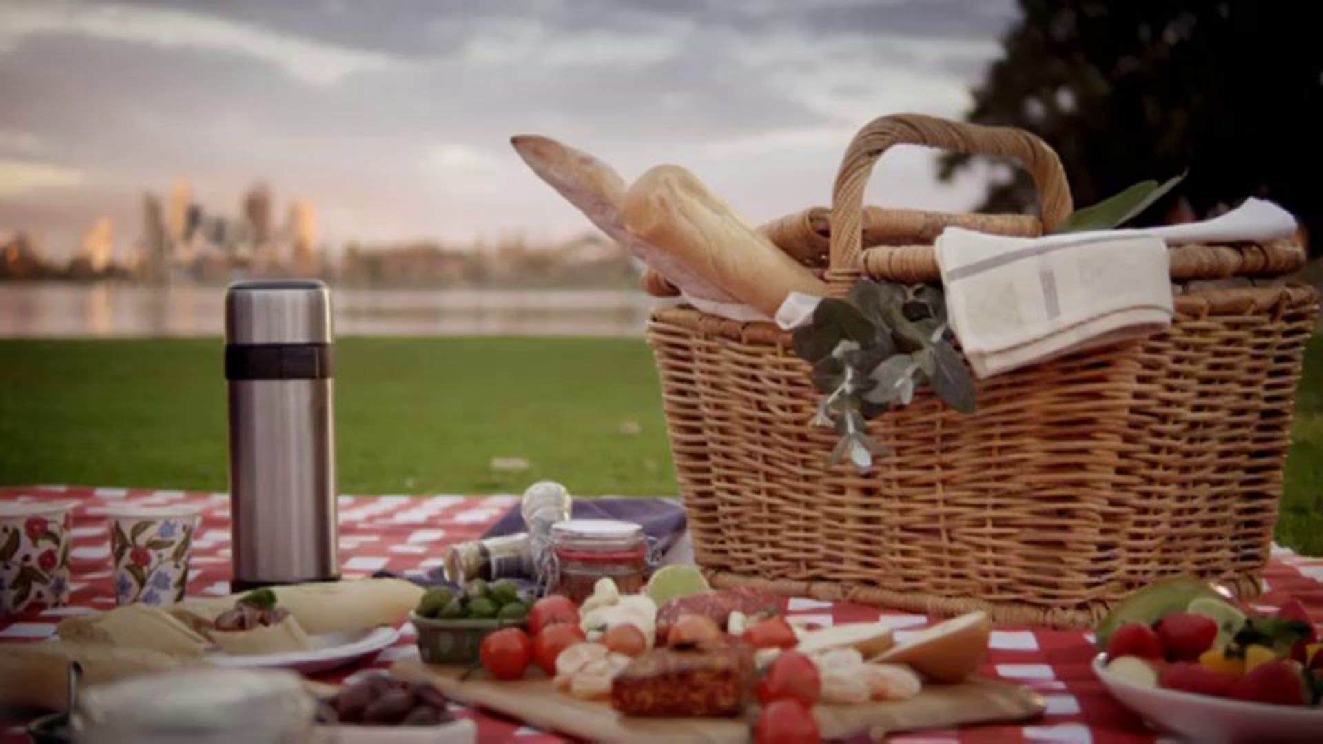 Carboodle Picnic