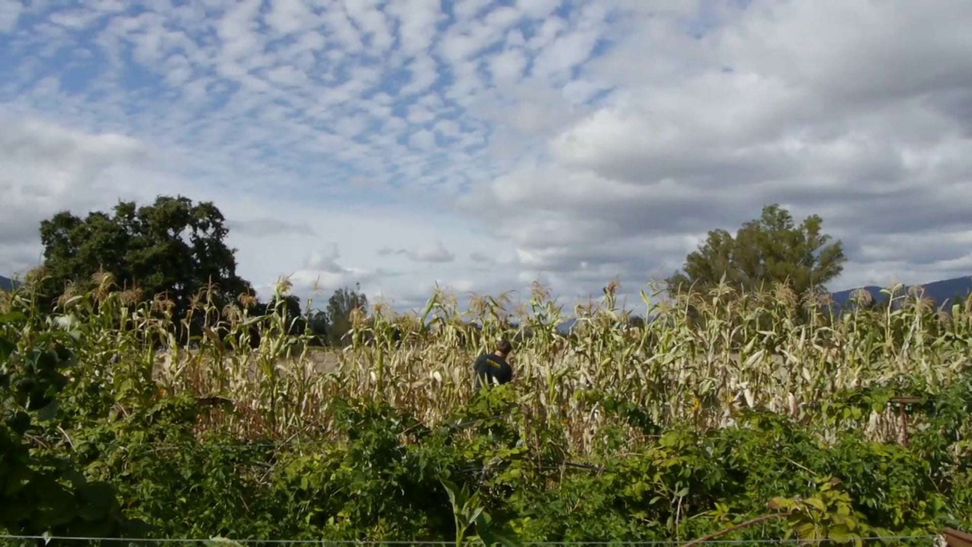 The Organic Life Trailer (OFFICIAL)