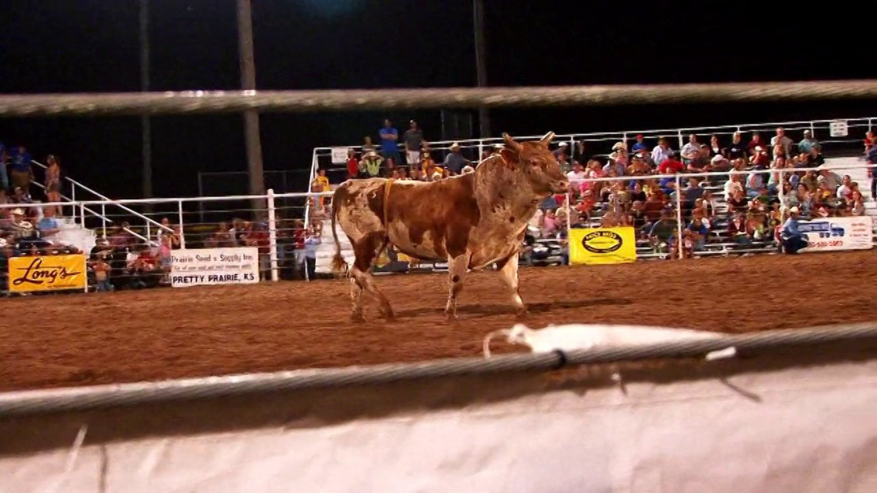 Rodeo on Vimeo
