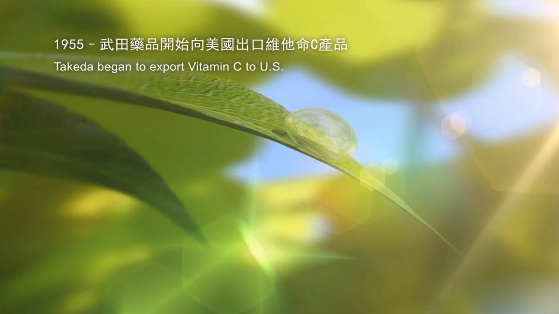 武田製藥50周年