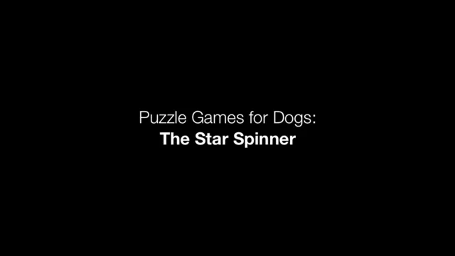 Puzzle Games for Dogs: The Star Spinner - Miles & Emma