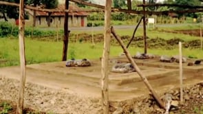 Rwanda Healing Project