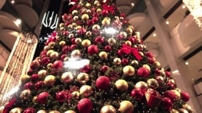 BARRA NATAL 2013