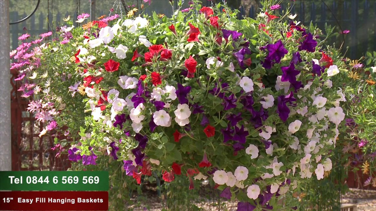 15 Easy Fill Hanging Basket (Buy One Get One Free!) on Vimeo
