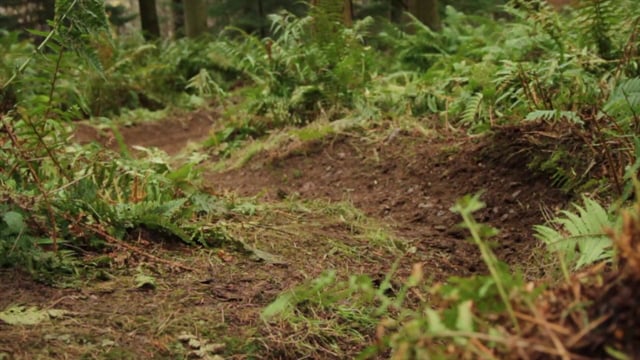 Ultimate Hucker Sender teaser