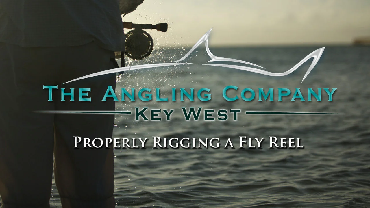 The Angling Company: Properly Rigging a Fly Reel on Vimeo
