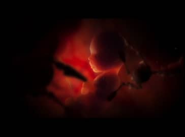 George Michael - Freeek! thumbnail