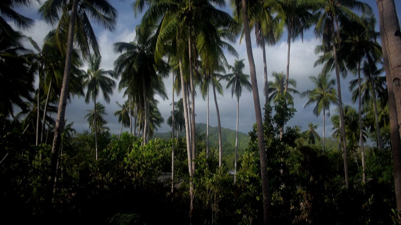 Qi, luxury kitesurf resort. El Nido. Philippines