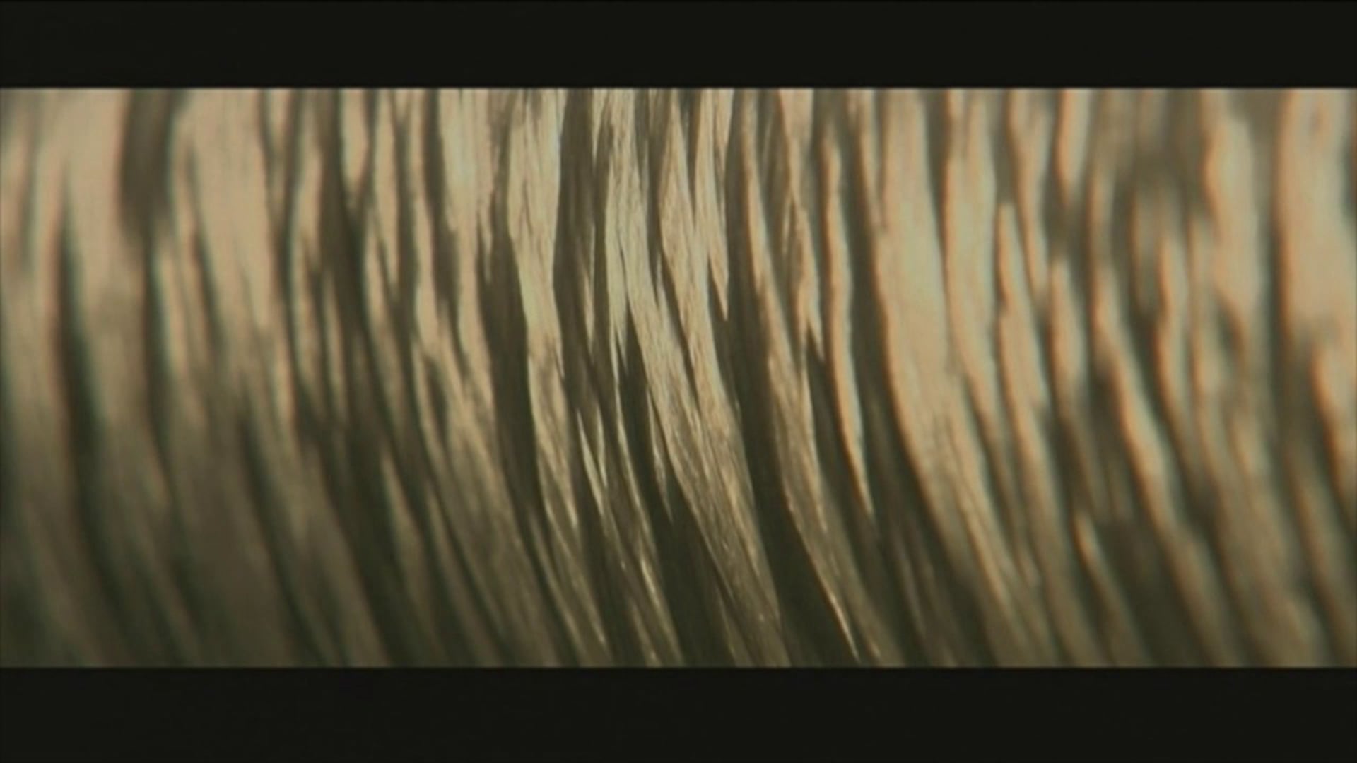 Factory Made - Discovery Channel - Unscripted DP