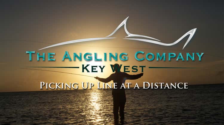 The Angling