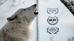 Wolf Mountain