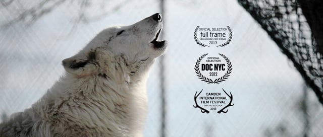 Wolf Mountain