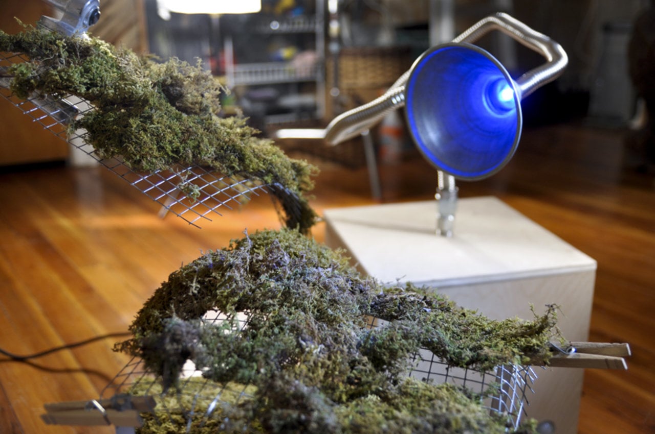 Orgone Box Documentation | Videos & Movies on Vimeo