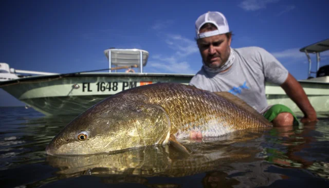 The 2009 Toyota Wahoo Wind-Up: St. Croix's Diaz Is Top Angler; St Thomas'  Gatcliffe Is Second Top Angler – VI Source Network