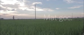 Mat goc - Trailer 2014