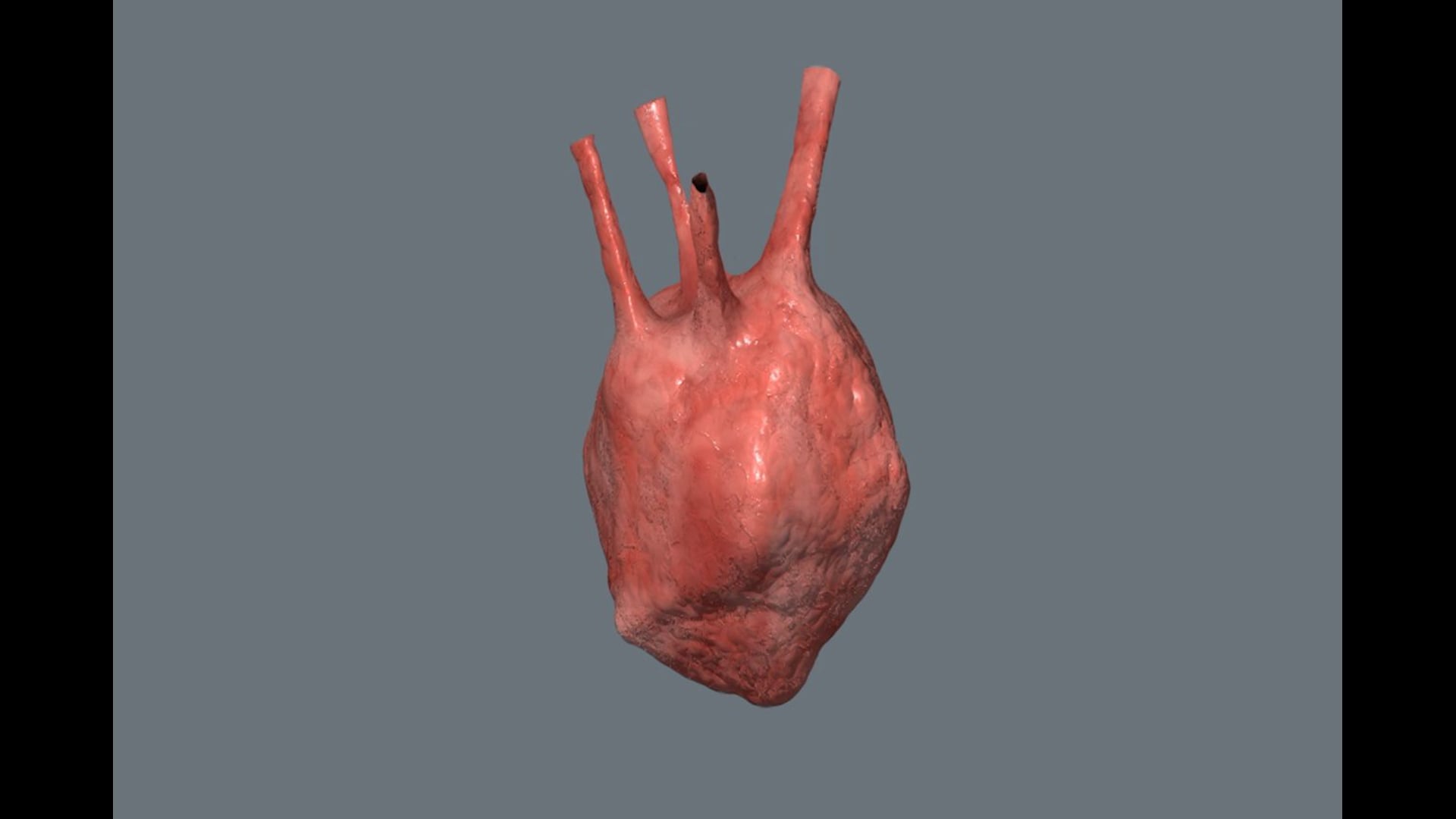 Heart Pumping Animation