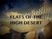 Flats of the High Desert