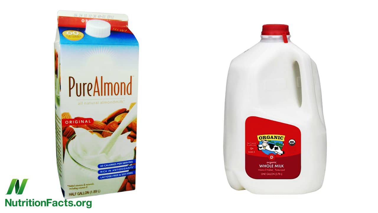 Prostate Cancer and Organic Milk vs. Almond Milk on Vimeo