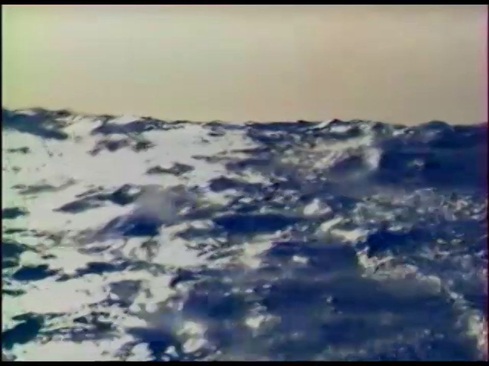 THE RACE