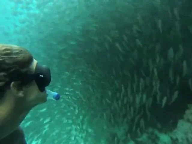 Fish Hooks- Underwater Boy on Vimeo