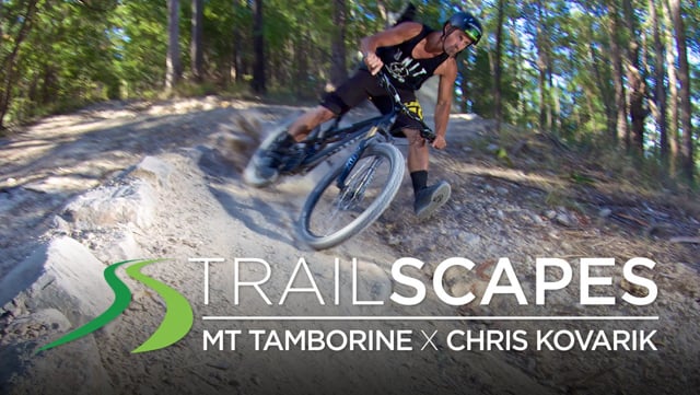 TrailScapes Mt Tamborine x Chris Kovarik