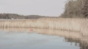 BlackMagic Pocket Cinema Camera