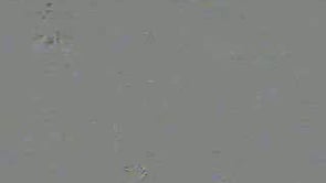 Black & White! on film