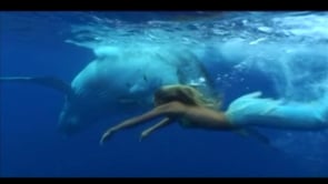 Videos in Mermaids on Vimeo