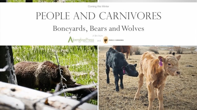 People and Carnivores: Boneyards, Bears and Wolves Trailer