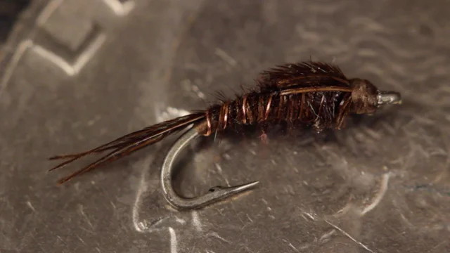 Pheasant Tail Nymph Fly