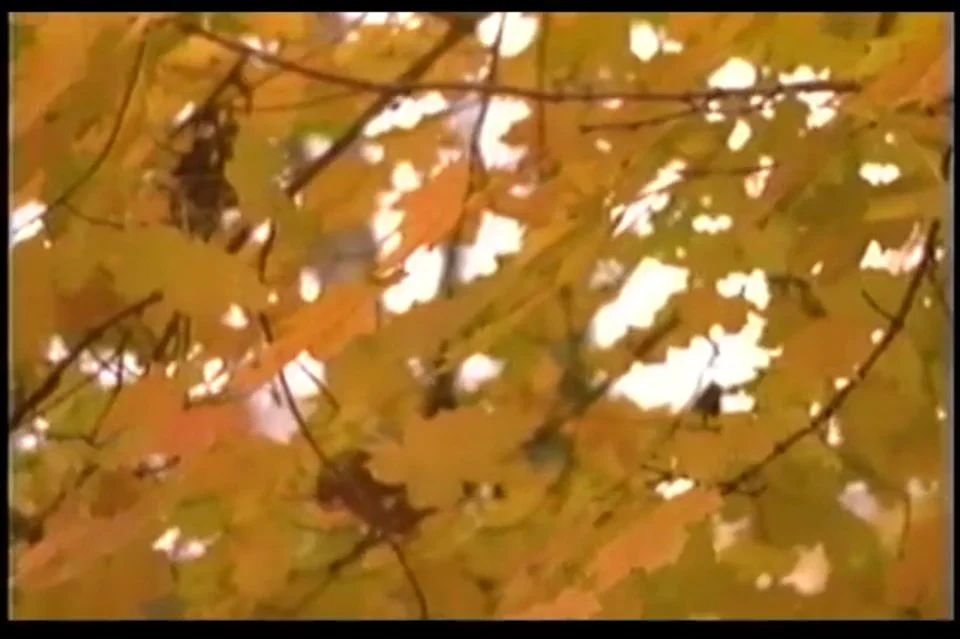 Barefeet