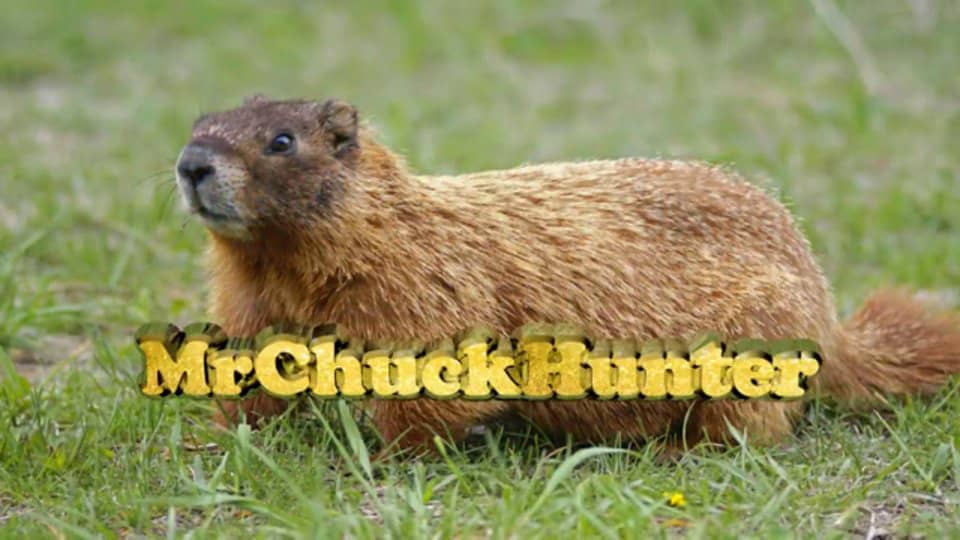 Groundhog - Woodchuck- Rock Chuck hunting W/ scopecam (2012) on Vimeo