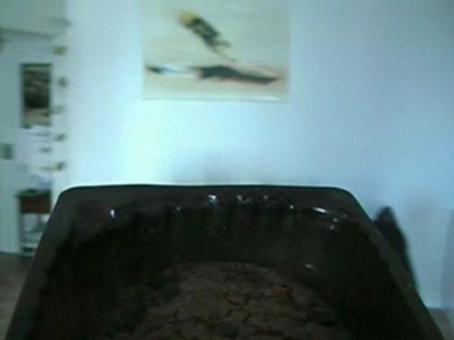 test on Vimeo