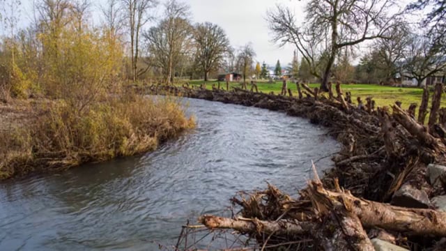 12 Days in 2 Minutes: Milk Creek Project Time Lapse Video