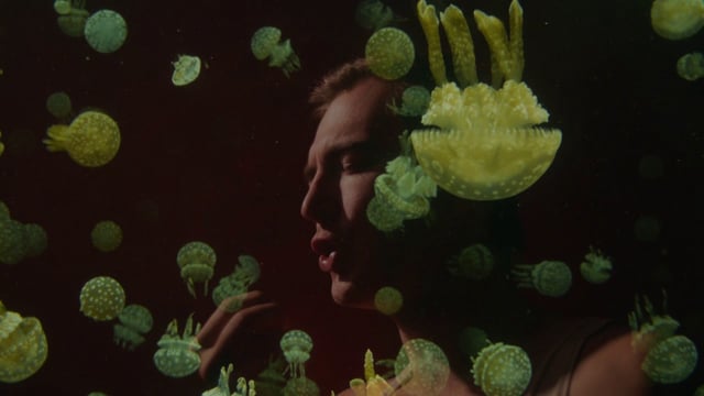 Eola - FutureHymns thumbnail