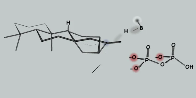 To Gibberellins and Beyond! Surveying the Evolution of (Di)Terpenoid  Metabolism