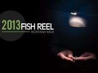 2013 Fish REEL
