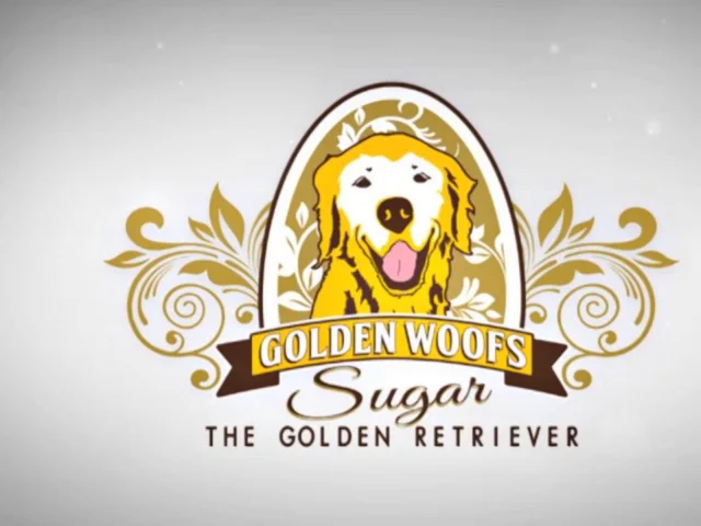 Mentally Stimulate Your Dog With A Treat Puzzle Game - Golden Woofs