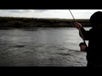 Pepefly Fly Fishing with Yellow Collie Dog in Río Grande Tierra del Fuego Argentina 23 01 14