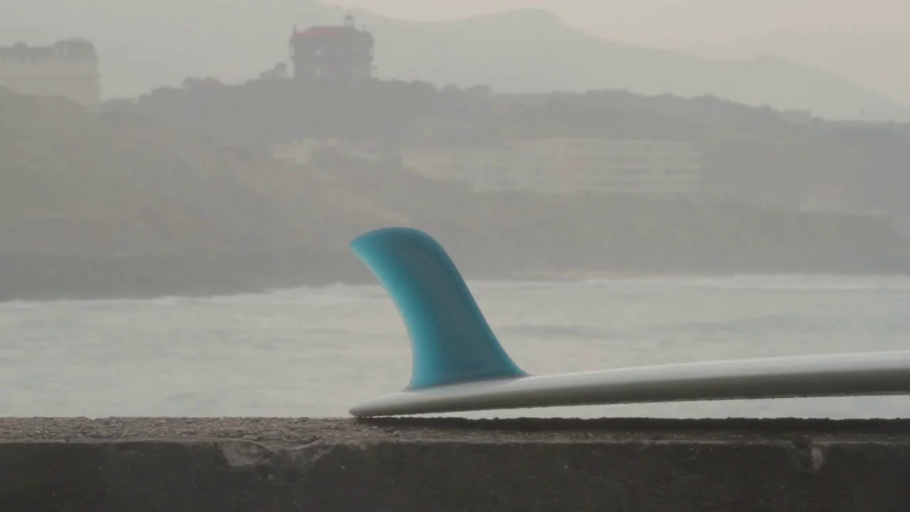 ロングボード (LONGBOARD)の シーコング クリーム ブランド紹介 ロングボード (LONGBOARD)の シーコング クリーム ブランド紹介