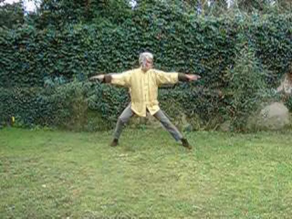 La garza bailando on Vimeo