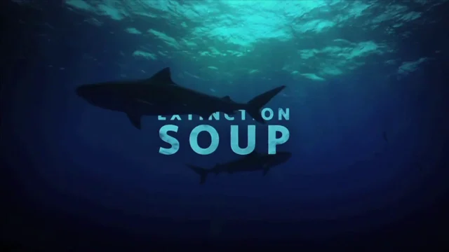Ban Shark Fin Soup - Bite-Back