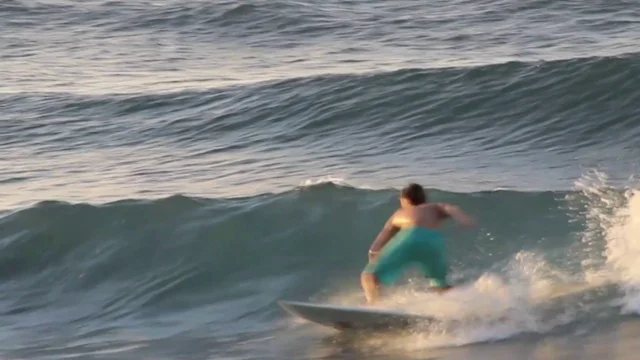 Ano Nuevo Surfing